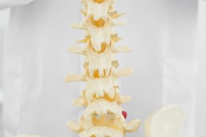 Read more about the article Chiropractor vs Osteopath