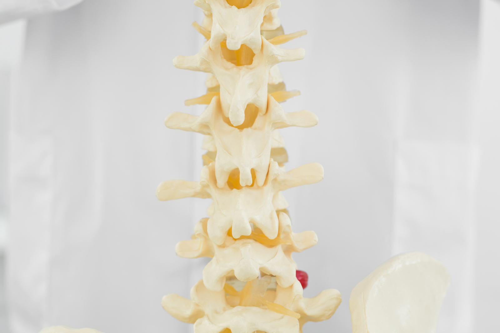 Read more about the article Chiropractor vs Osteopath