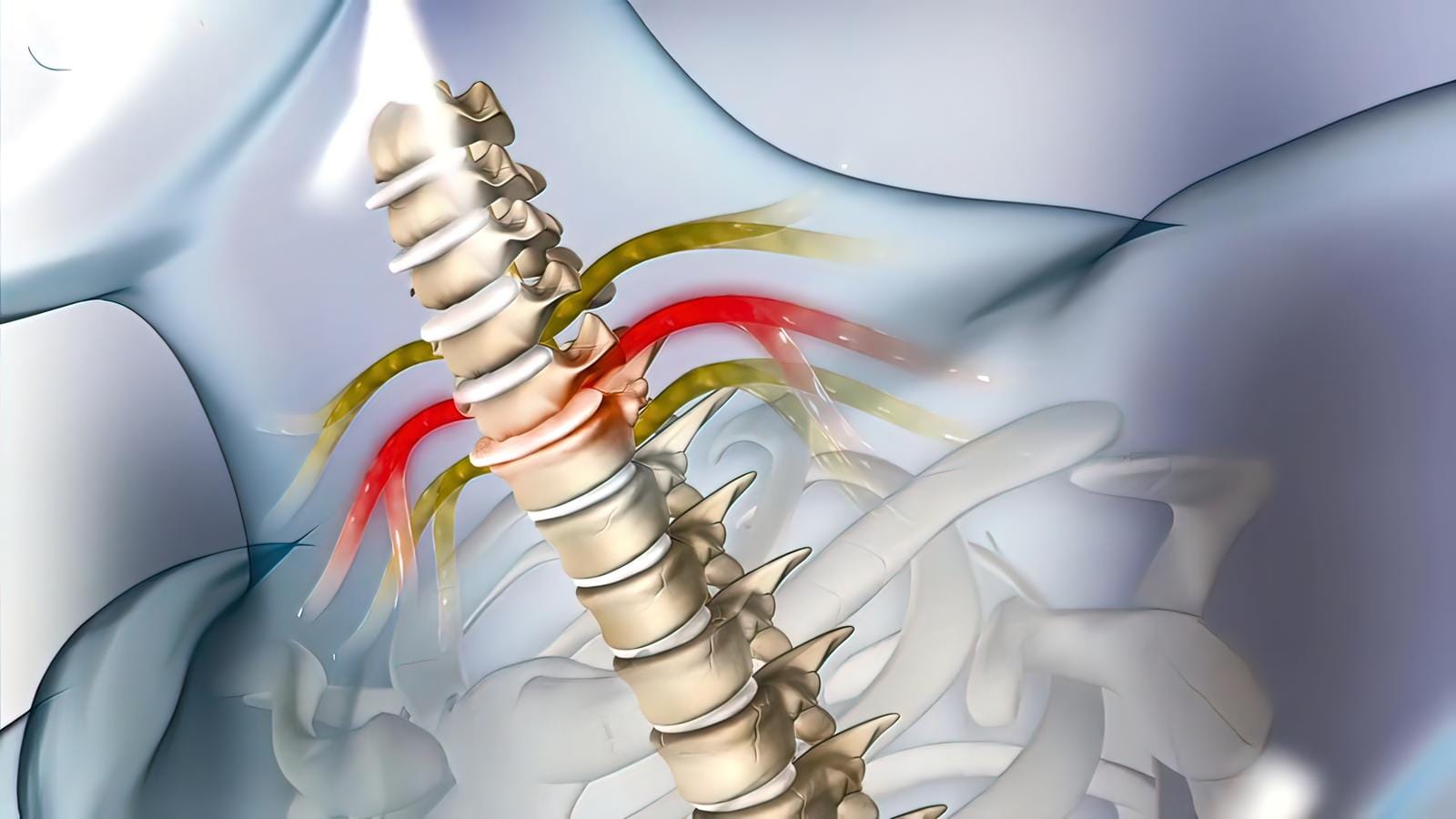 Chiropractor or Osteopath for Trapped Nerve Treatment? Who's Best?