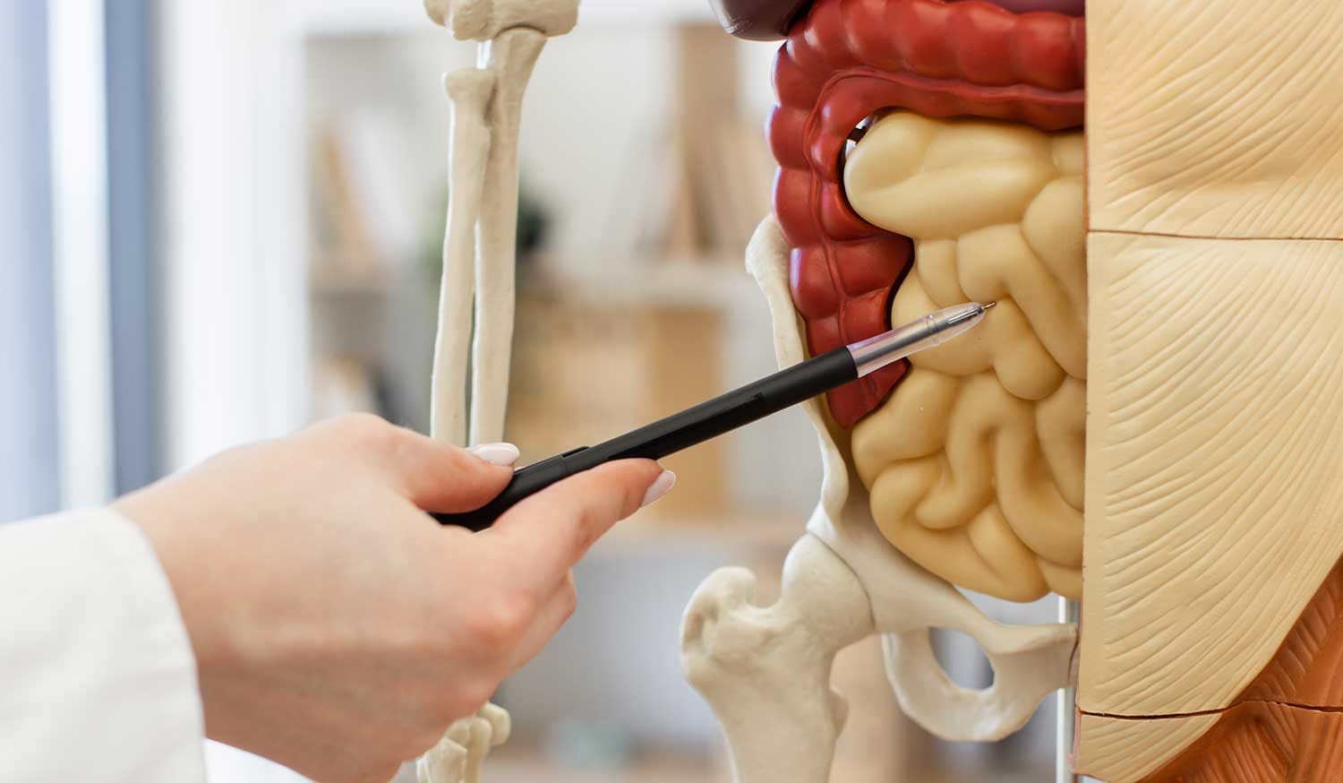 Osteopath for digestive health in London
