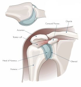 Rotator Cuff Injuries​ treatment osteopathy clinic in london